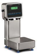 ZM Series Indicator Linked to BSF Torsion Base Bench Scales-2