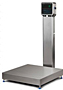 ZM Series Indicator Linked to BS Diamond Base Bench Scales